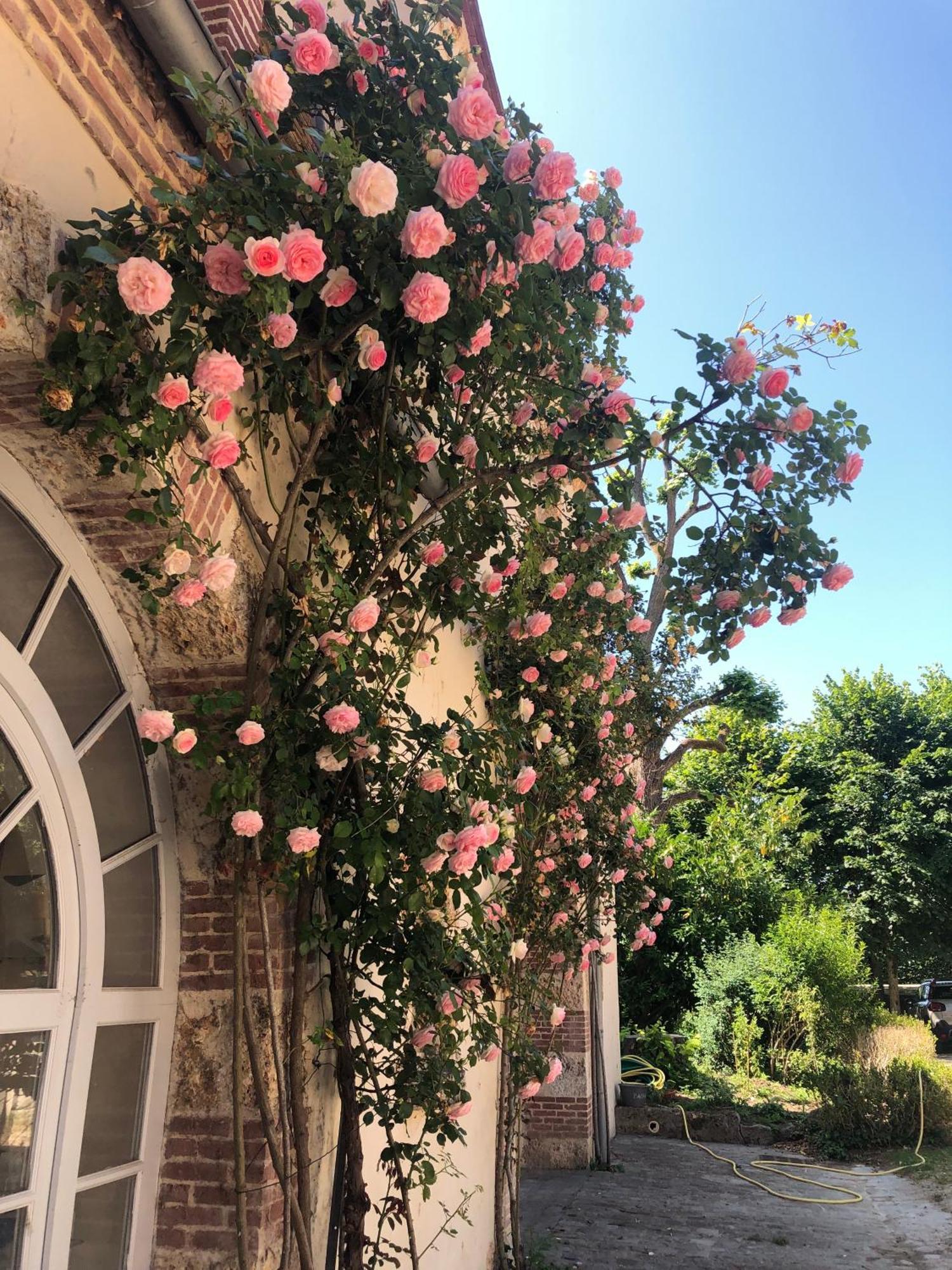 Chateau De La Cour Senlisse Buitenkant foto